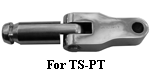 For TS-PT