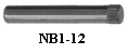 NB1-12