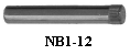 NB1-12