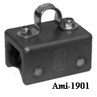 Ami-1901